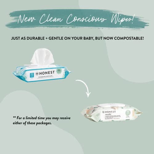 The Honest Company Clean Conscious Multi-Use Wipes | Hypoallergenic + Unscented for Sensitive Skin | Over 99% Water, Compostable, Plant Based, Baby Wipes | Pattern Play, 720 Count