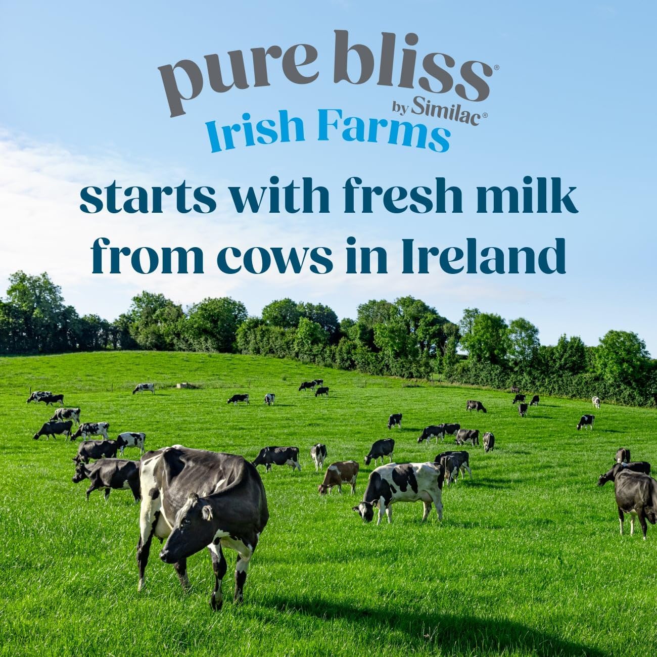 Pure Bliss Irish Farms, Easy-to-Digest Baby Formula, Infant Formula