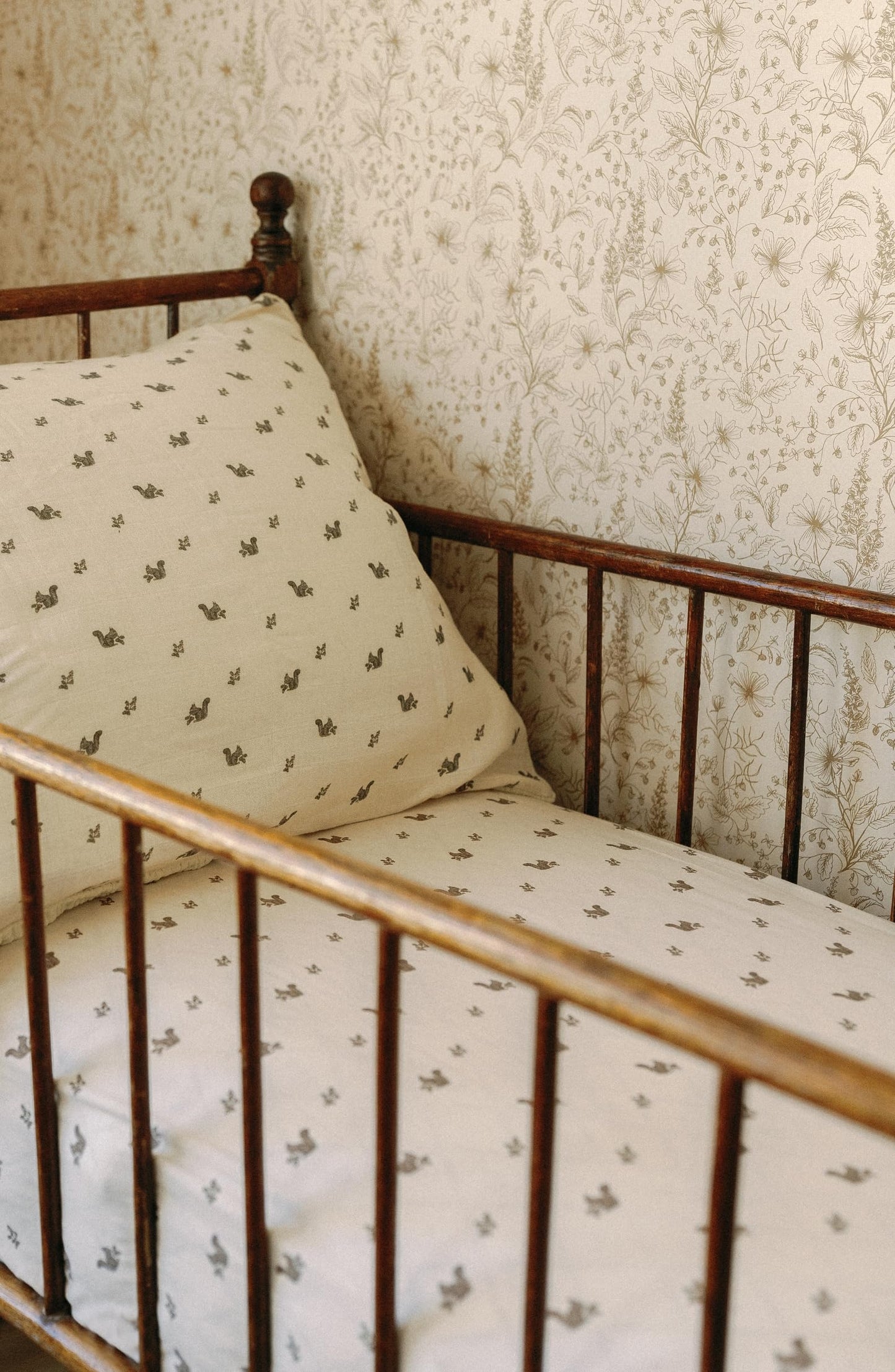 Oilo Baby Blanket, Luxury Soft Plush Backing & 100% Turkish Cotton Jersey Print