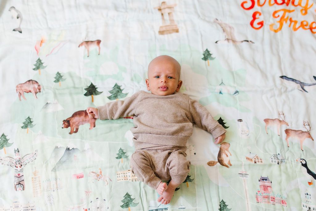 LouLou Lollipop | Muslin Swaddle - All The Things Baby