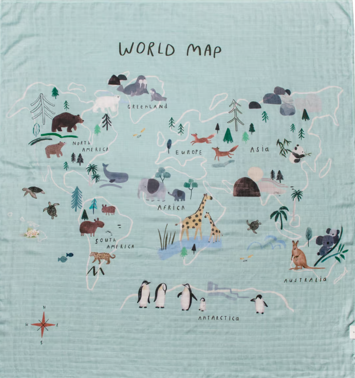 LouLou Lollipop | Muslin Swaddle - All The Things Baby