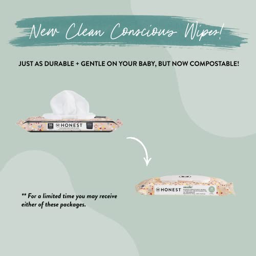 The Honest Company Clean Conscious Multi-Use Wipes | Hypoallergenic + Unscented for Sensitive Skin | Over 99% Water, Compostable, Plant Based, Baby Wipes | Pattern Play, 720 Count