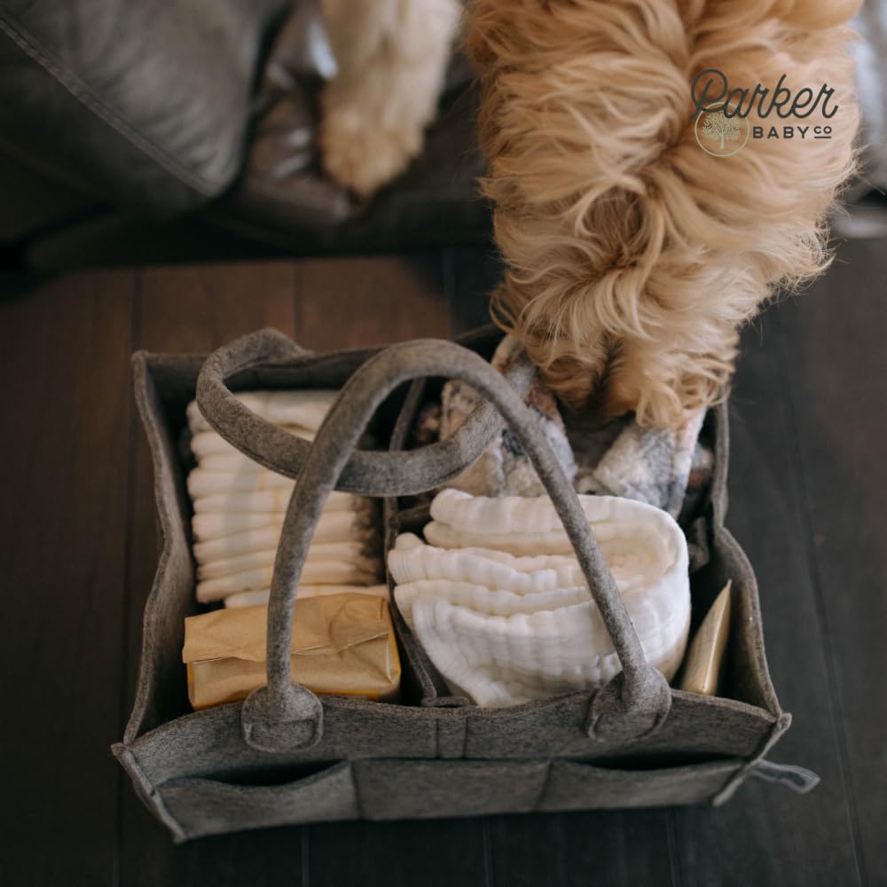 Parker Baby Diaper Caddy - Nursery Storage Bin and Car Organizer for Diapers and Baby Wipes - Oatmeal, Regular