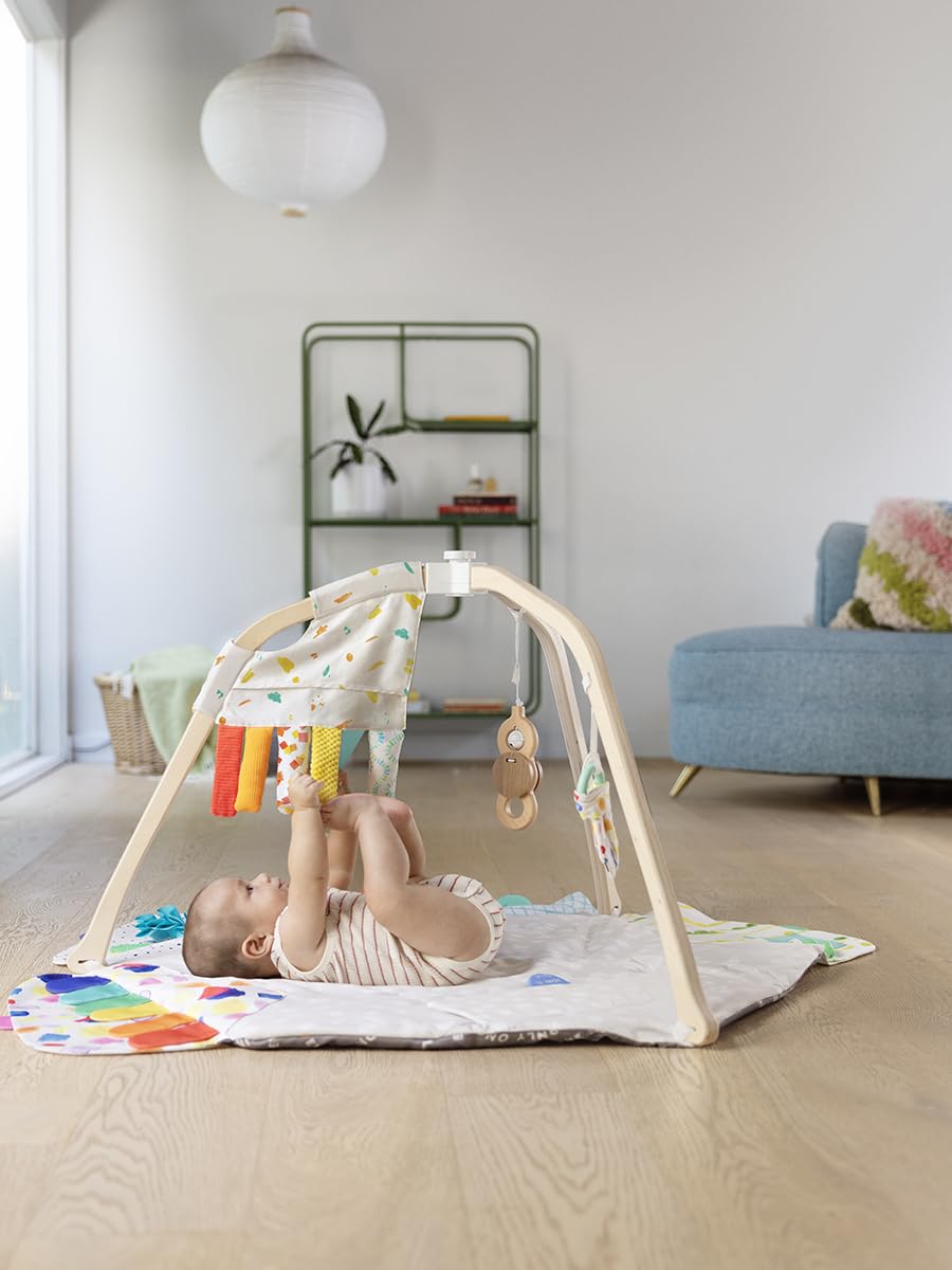 LOVEVERY | The Play Gym | Award Winning For Baby , Stage-Based Developmental Activity Gym & Play Mat for Baby to Toddler
