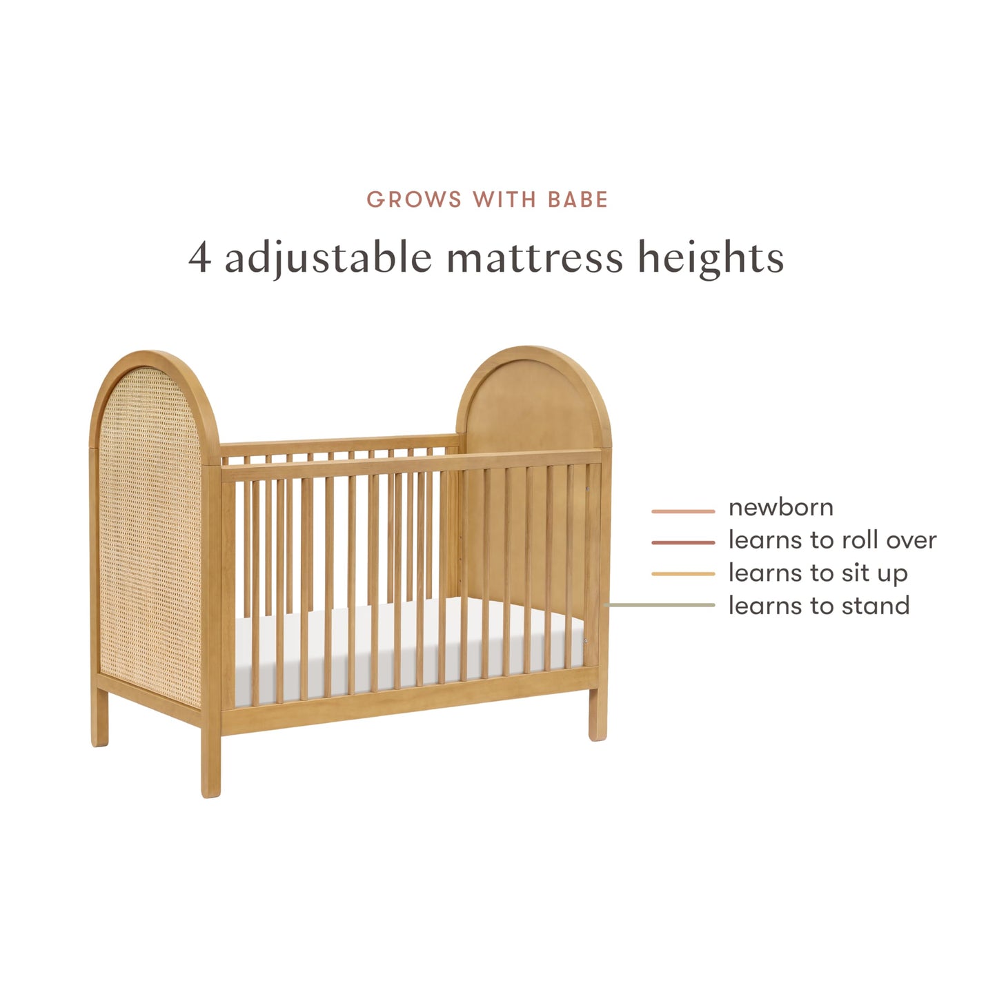 babyletto Bondi Cane 3-in-1 Convertible Baby Crib - GREENGUARD Gold Certified Convertible Crib to Toddler Bed & Daybed - Wooden Baby Bed with 4 Adjustable Mattress Heights - Easy to Assemble - Honey