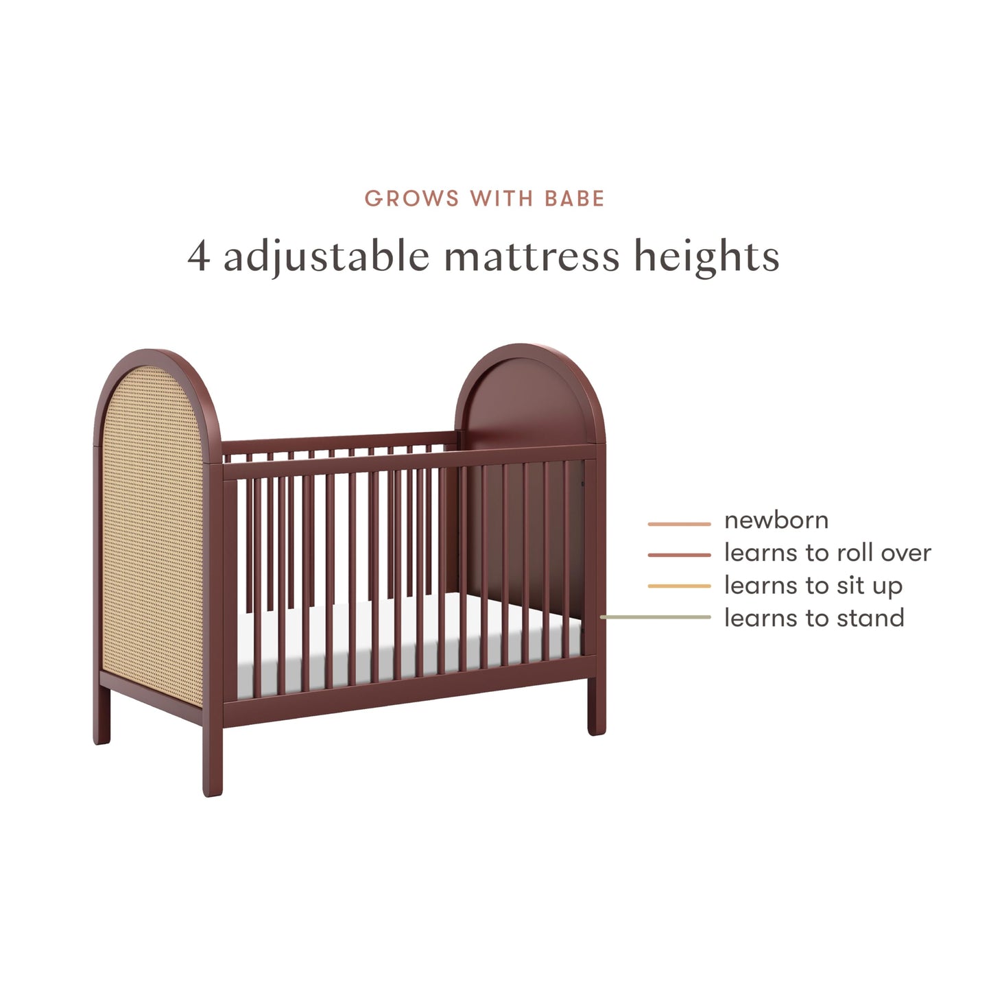 babyletto Bondi Cane 3-in-1 Convertible Baby Crib - GREENGUARD Gold Certified Convertible Crib to Toddler Bed & Daybed - Wooden Baby Bed with 4 Adjustable Mattress Heights - Easy to Assemble - Honey