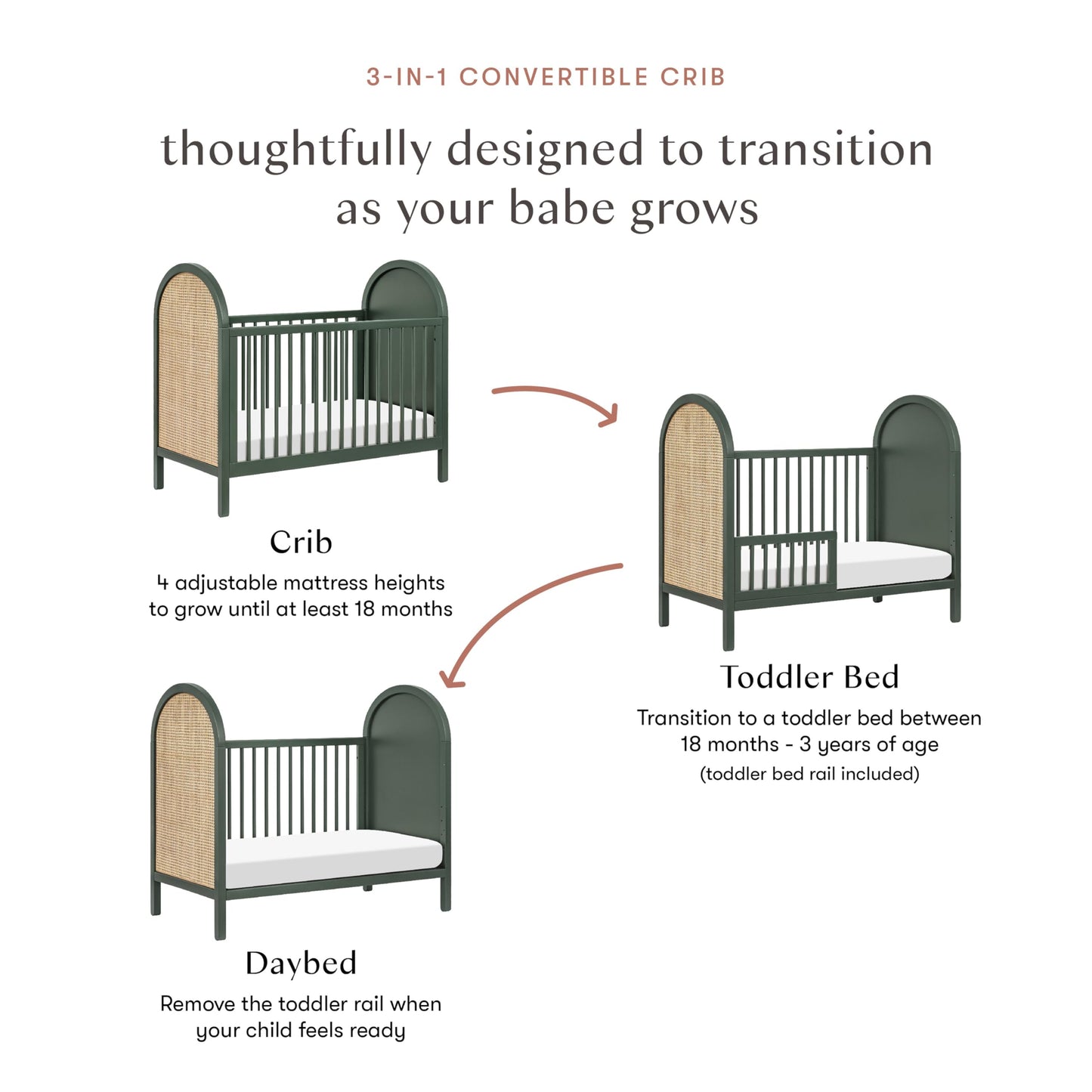babyletto Bondi Cane 3-in-1 Convertible Baby Crib - GREENGUARD Gold Certified Convertible Crib to Toddler Bed & Daybed - Wooden Baby Bed with 4 Adjustable Mattress Heights - Easy to Assemble - Honey