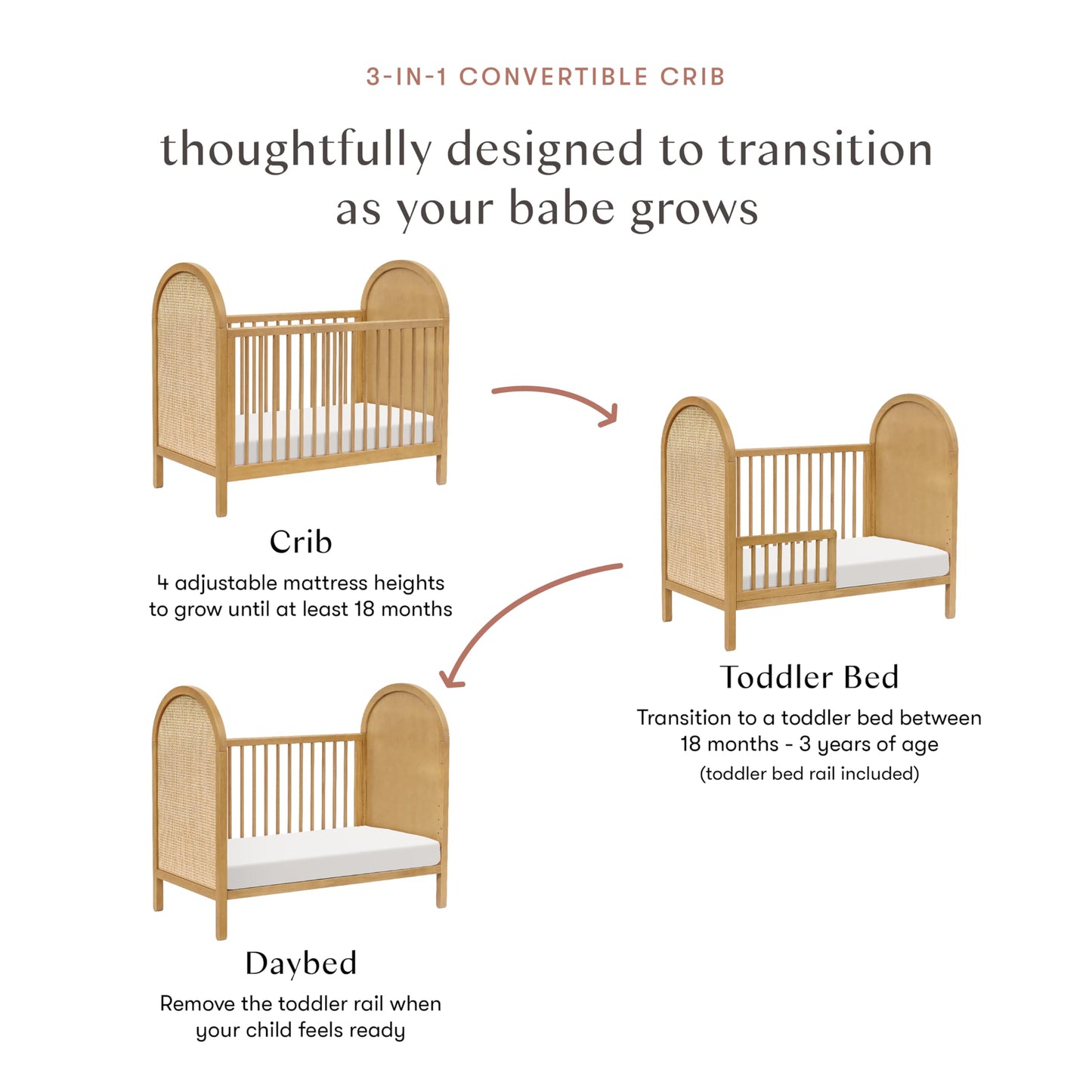 babyletto Bondi Cane 3-in-1 Convertible Baby Crib - GREENGUARD Gold Certified Convertible Crib to Toddler Bed & Daybed - Wooden Baby Bed with 4 Adjustable Mattress Heights - Easy to Assemble - Honey
