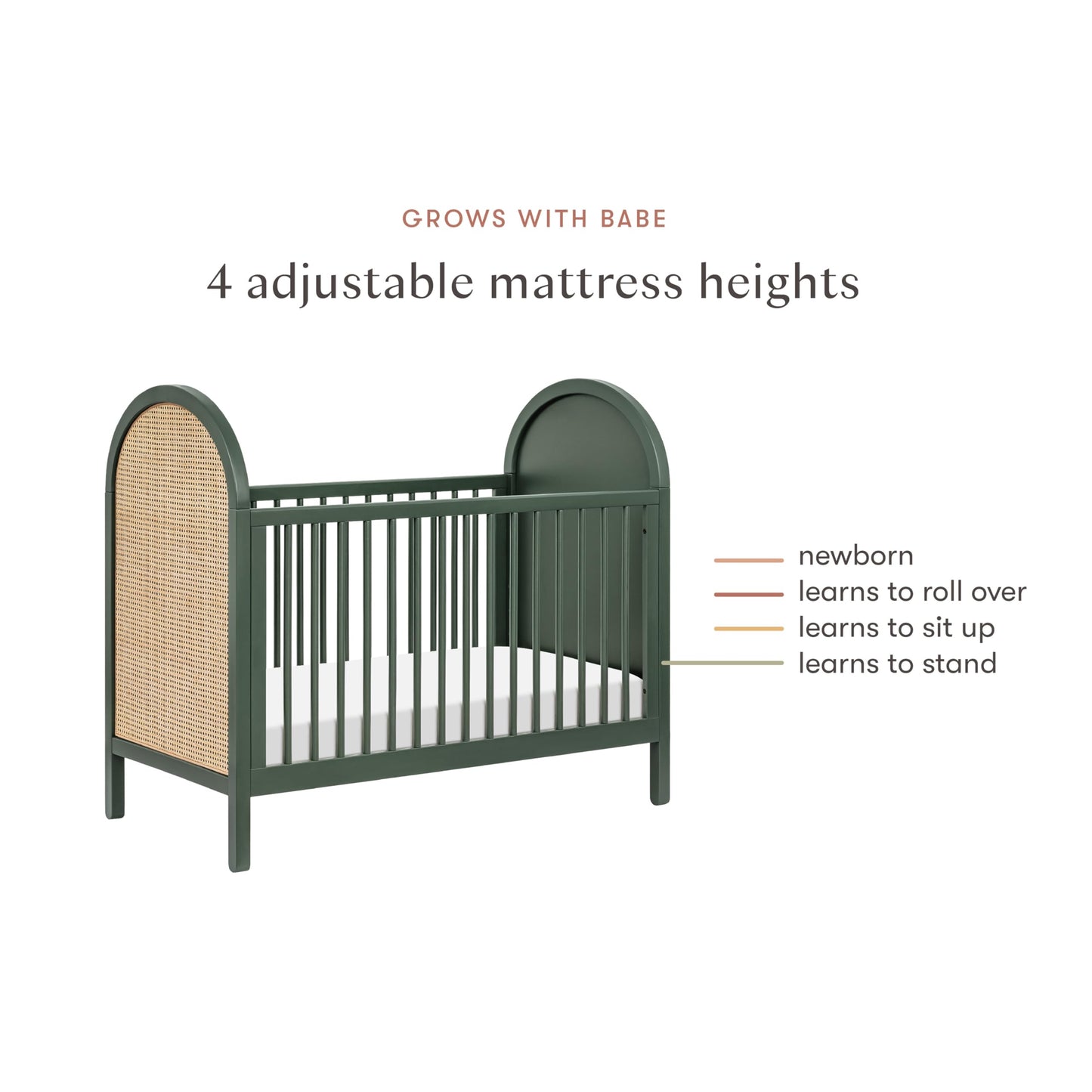 babyletto Bondi Cane 3-in-1 Convertible Baby Crib - GREENGUARD Gold Certified Convertible Crib to Toddler Bed & Daybed - Wooden Baby Bed with 4 Adjustable Mattress Heights - Easy to Assemble - Honey