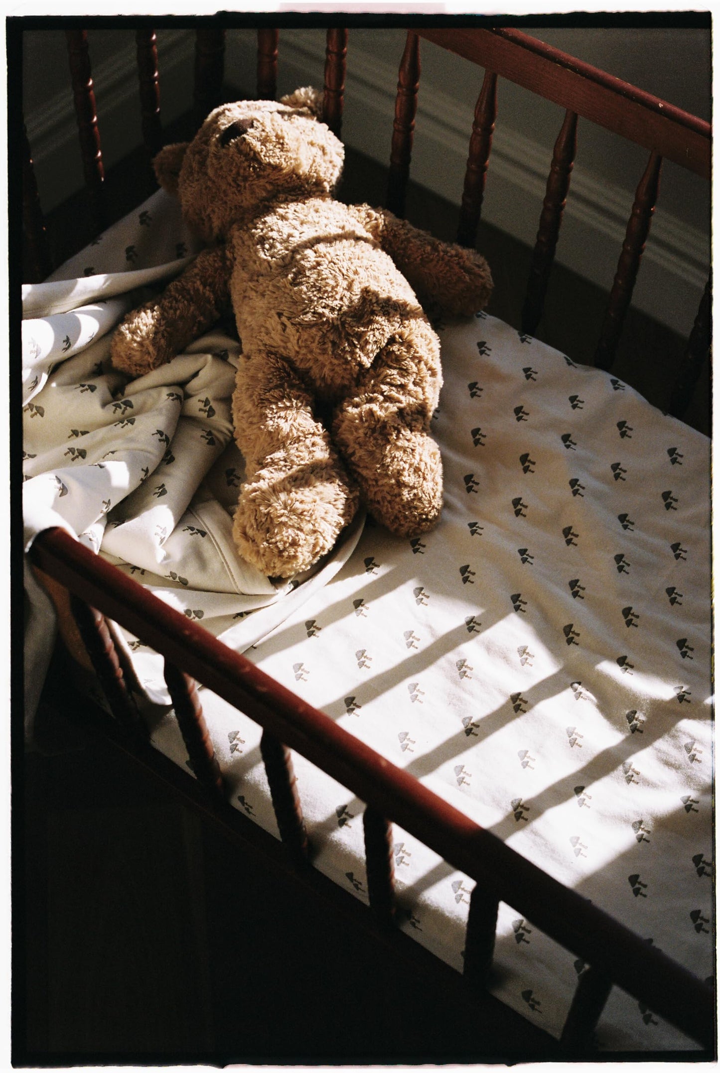 Oilo Baby Blanket, Luxury Soft Plush Backing & 100% Turkish Cotton Jersey Print