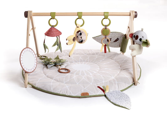 Boho Chic Luxe Developmental Gymini, Boho Chic