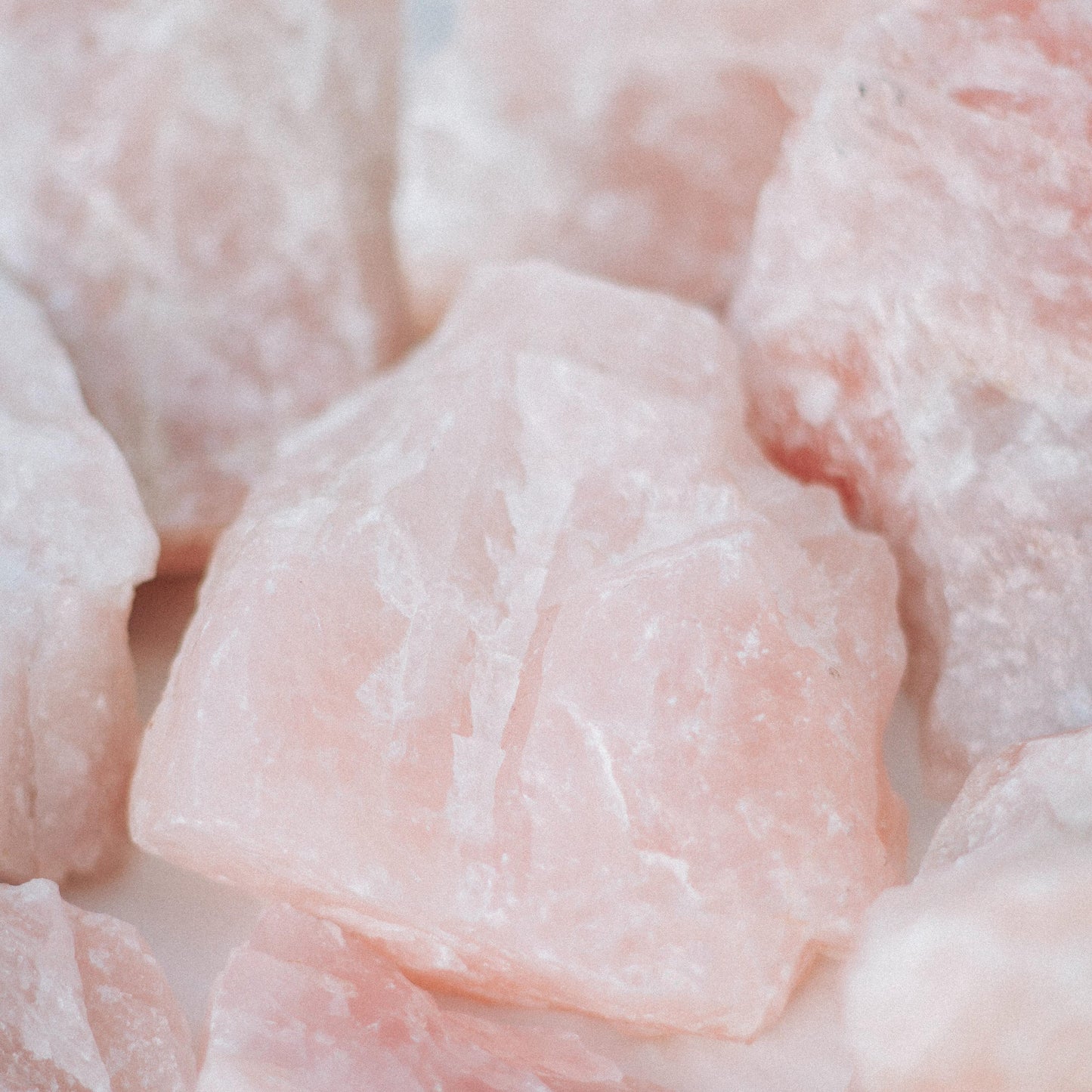 Close-up of raw chicken pieces on a white background